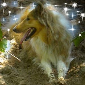 Meet your Posher, Hollie